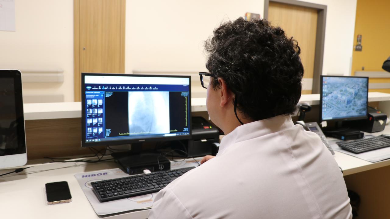 yapay-aort-2468113.jpg