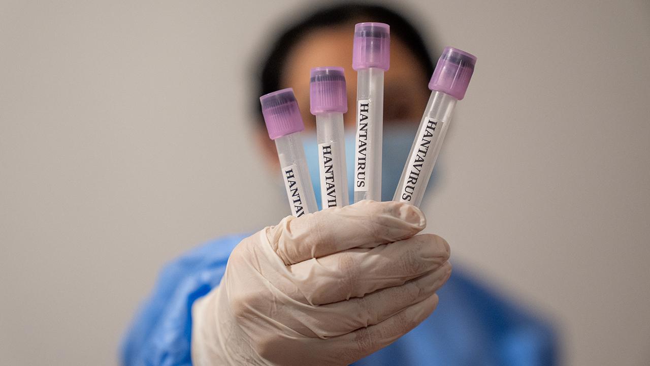 hanta-virus-2459285.jpg